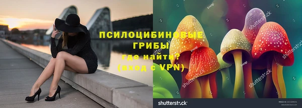 спайс Алзамай