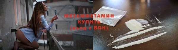прущие грибы Балабаново