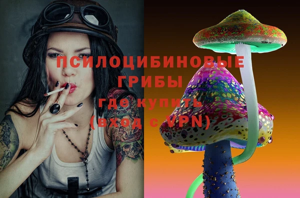 спиды Алексеевка