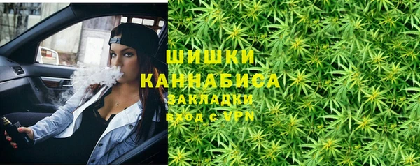 спайс Алзамай